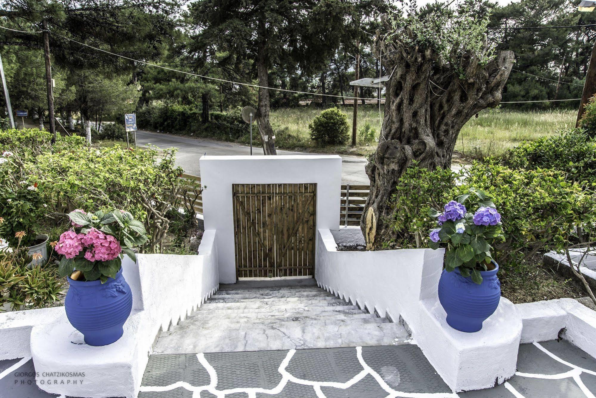 Pine Trees Art Hotel Ixia  Dış mekan fotoğraf